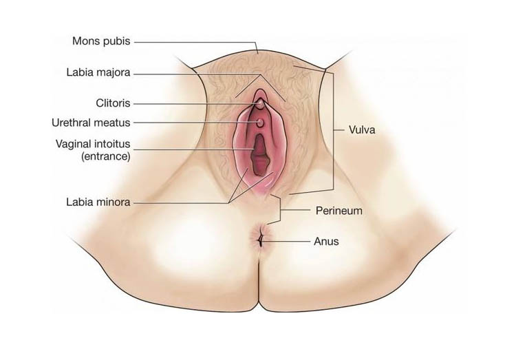 Come massaggiare il perineo